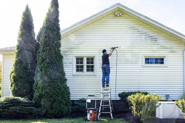 Best Solar Panel Cleaning  in Bristol, FL